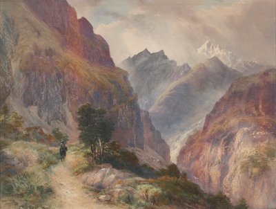 In den Südalpen von John Gully